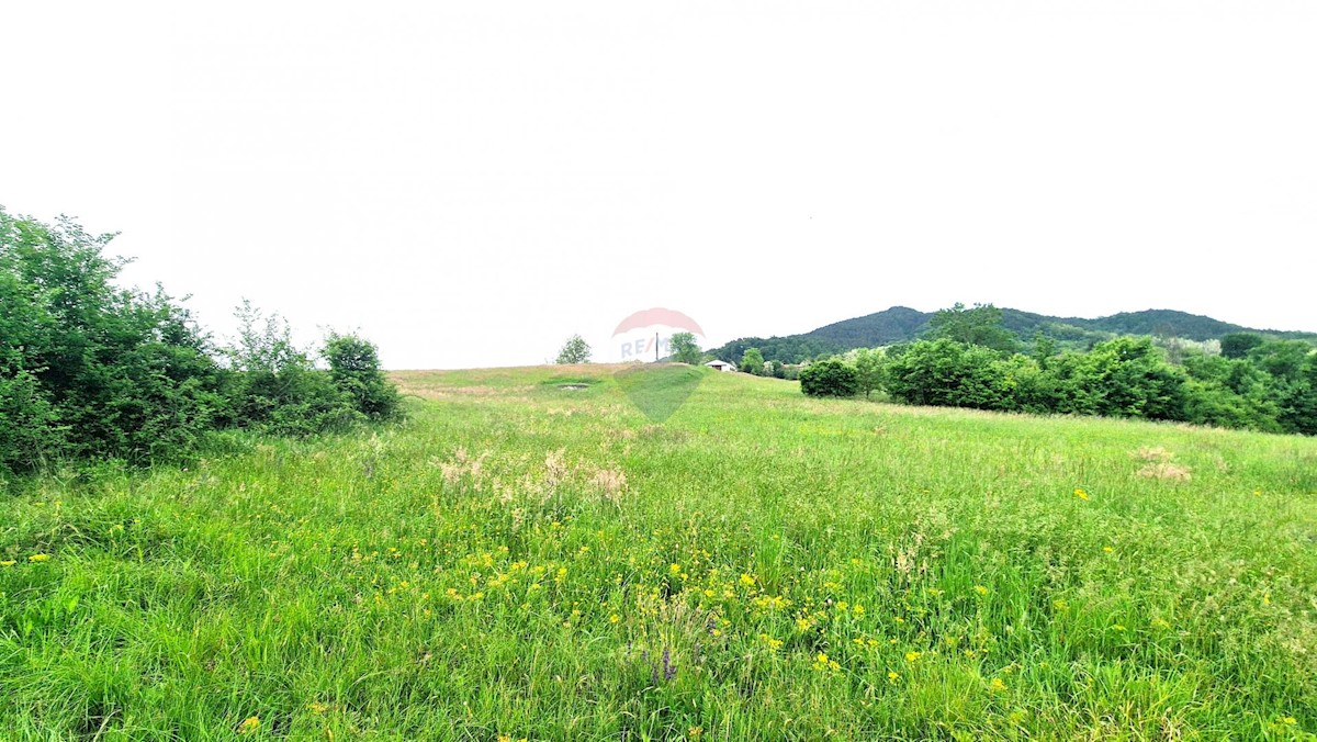 PAZIN