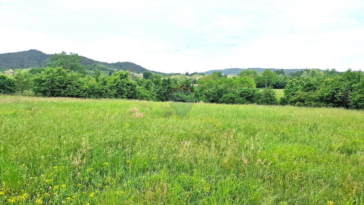 PAZIN