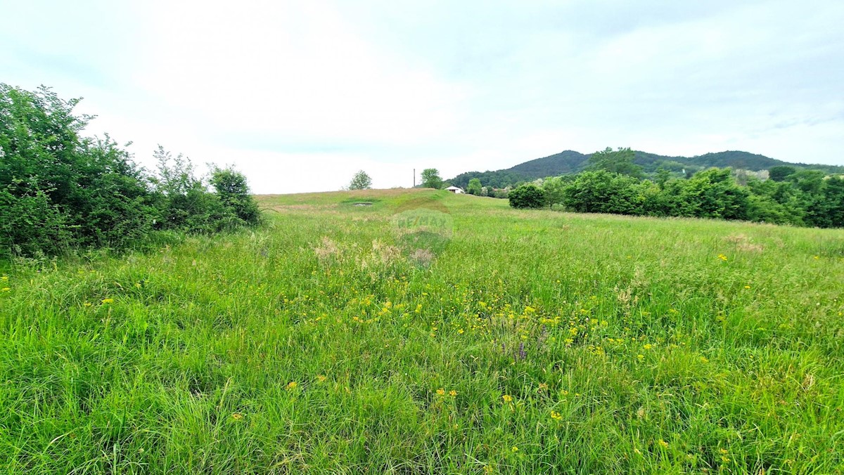 PAZIN