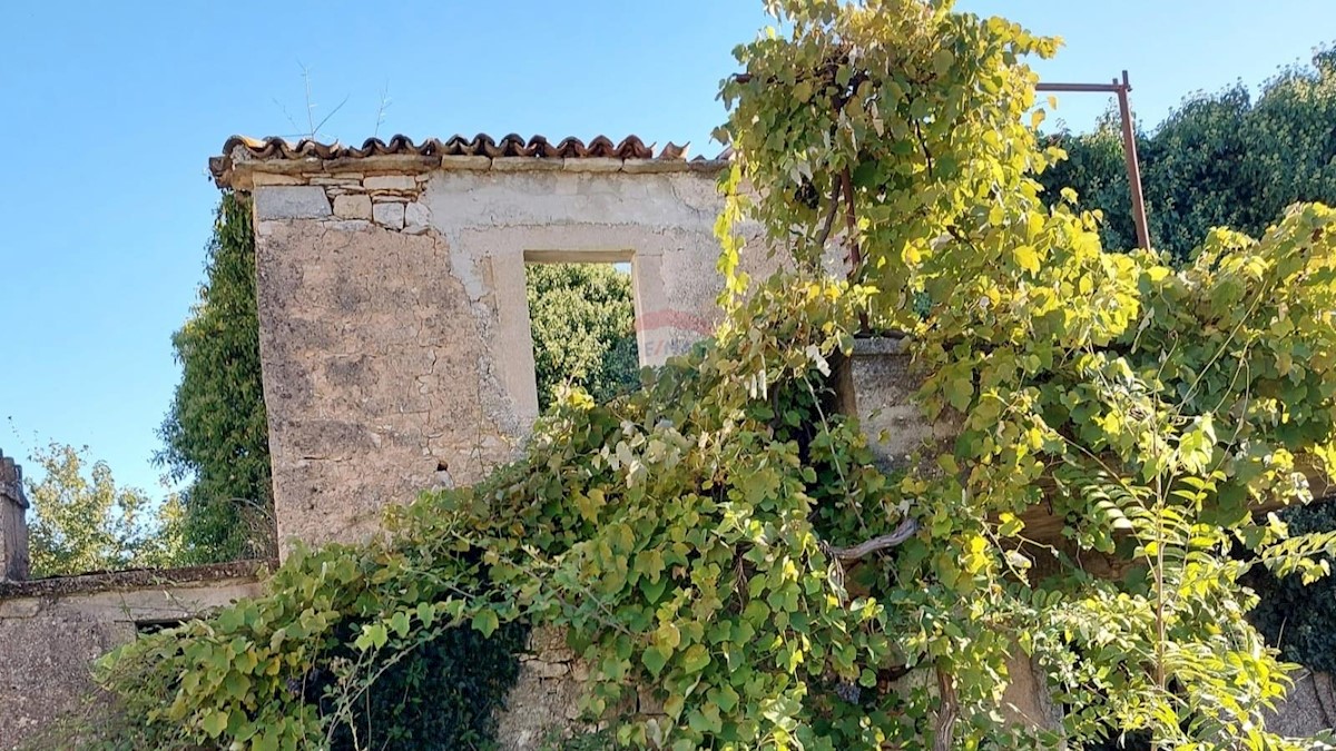 GRAČIŠĆE