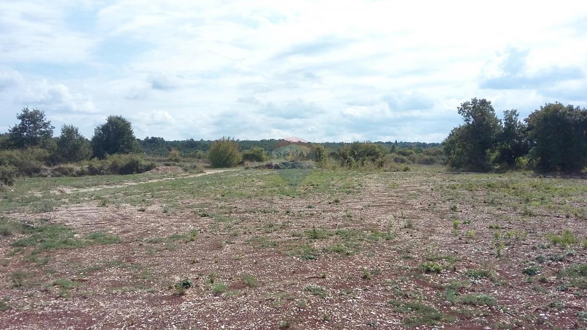 KANFANAR