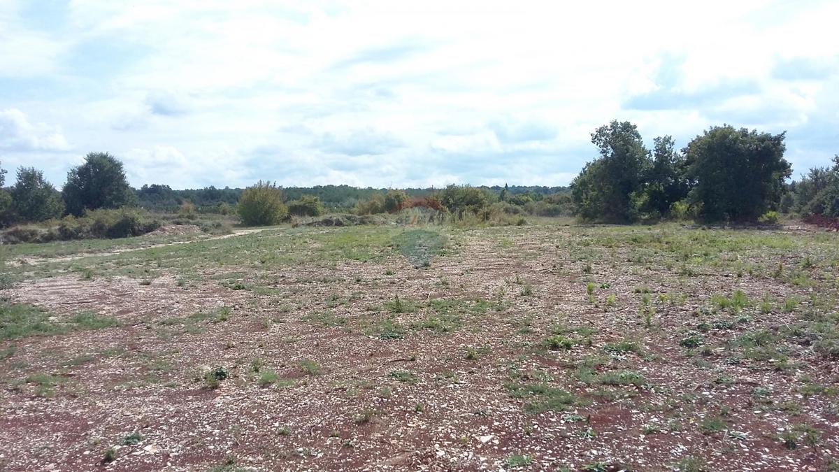 KANFANAR