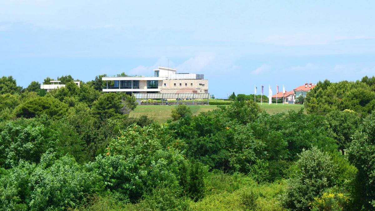 CRVENI VRH