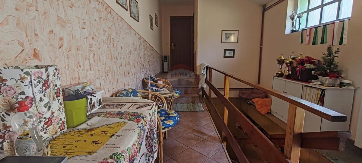 CERNIK