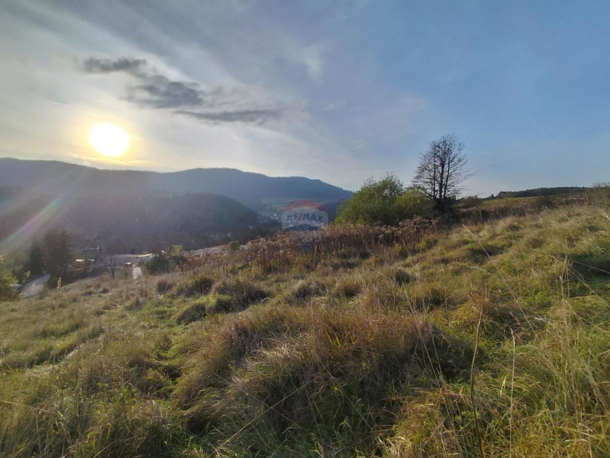 MORAVICE