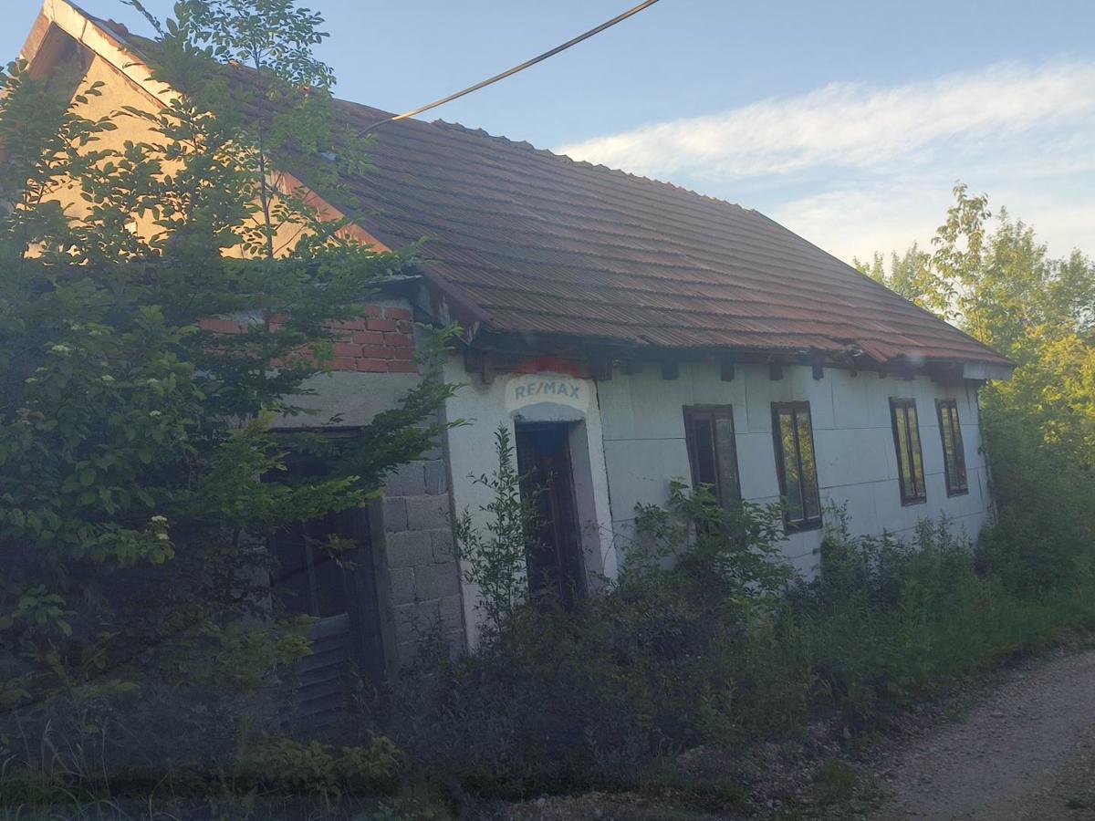 KUNIĆ