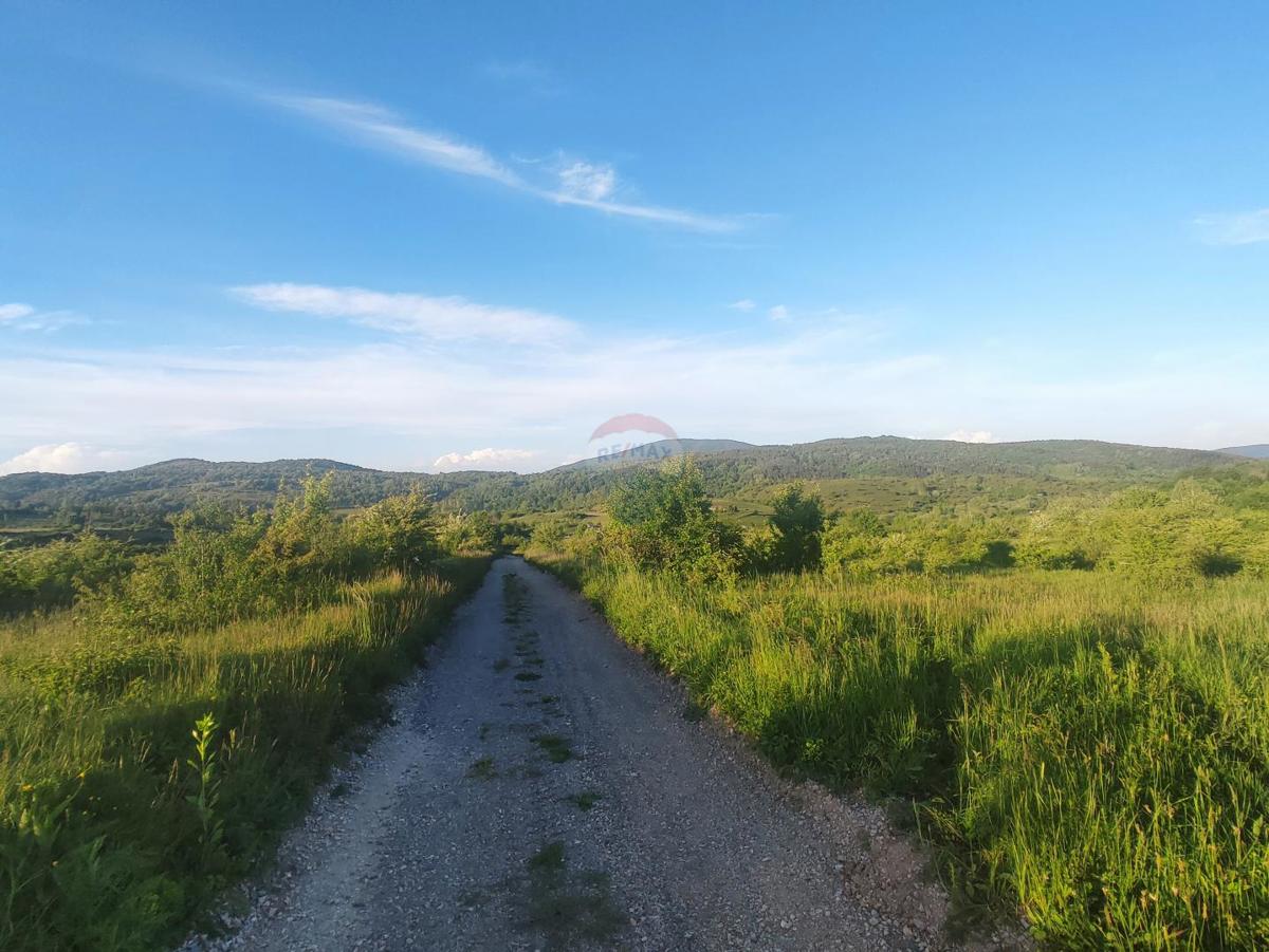 KUNIĆ