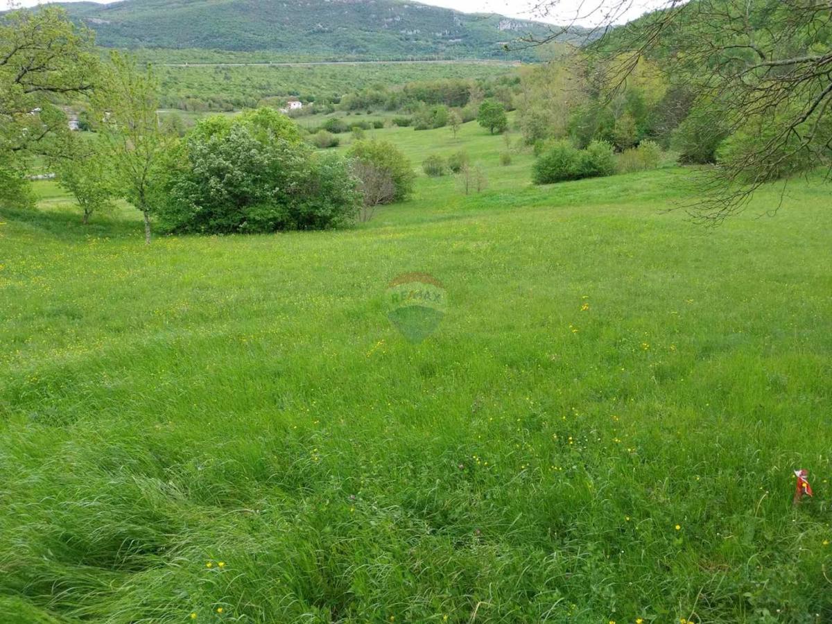 LUPOGLAV