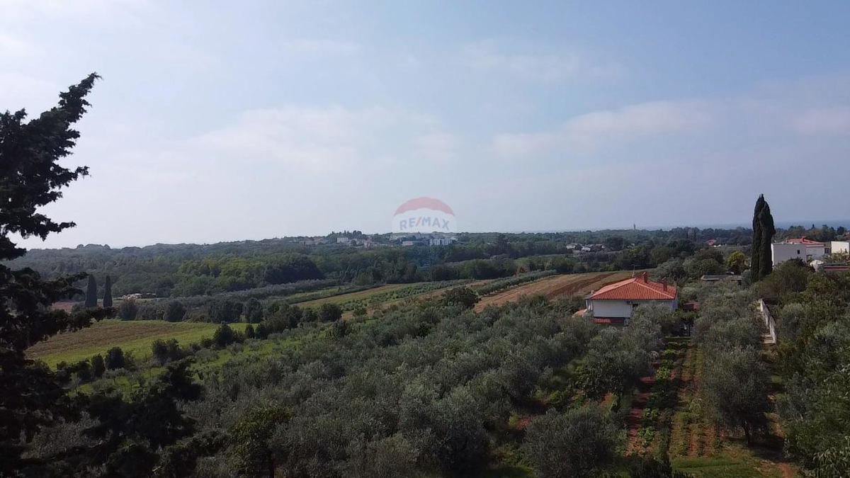 Terreno UMAG, 292.000 €