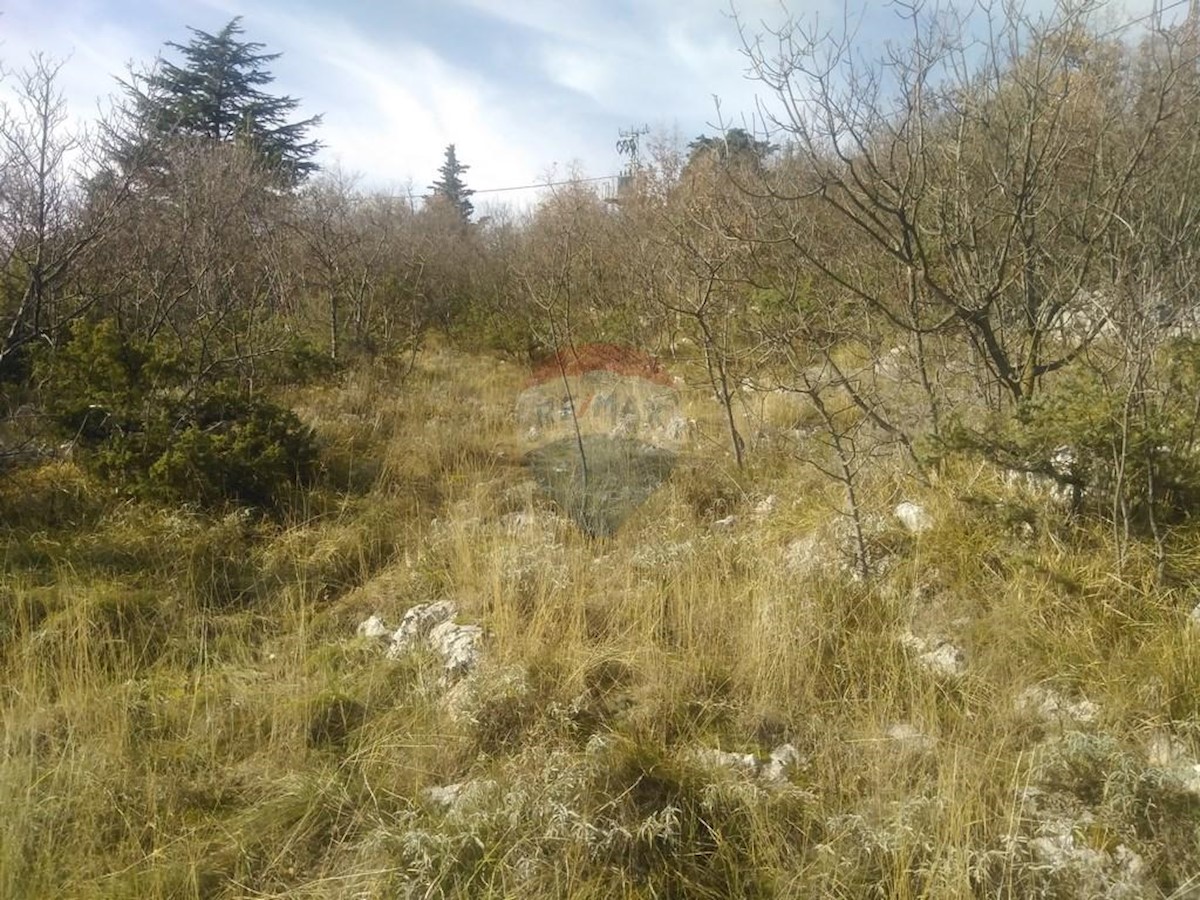 BRSEČ