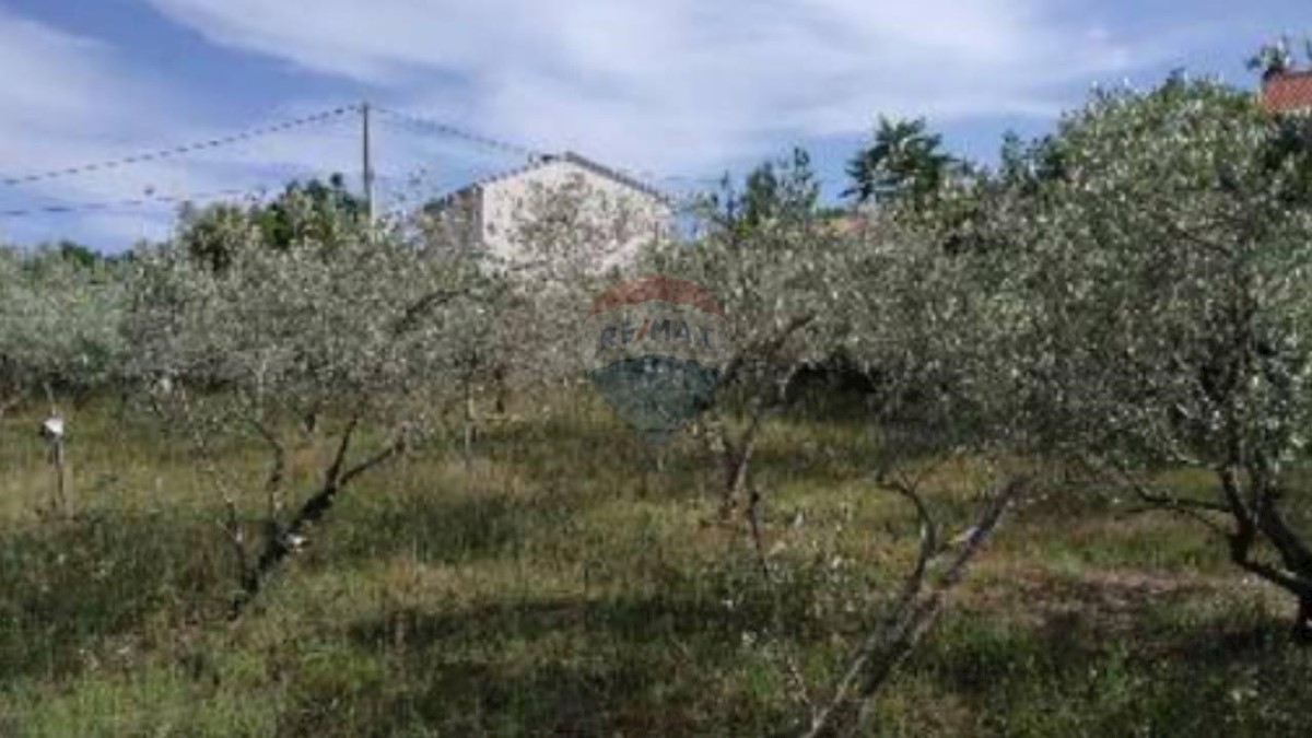 RAKALJ