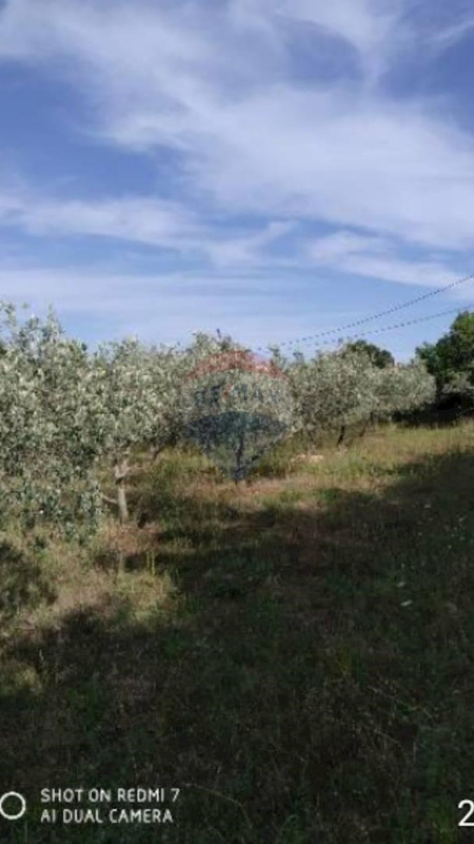 RAKALJ