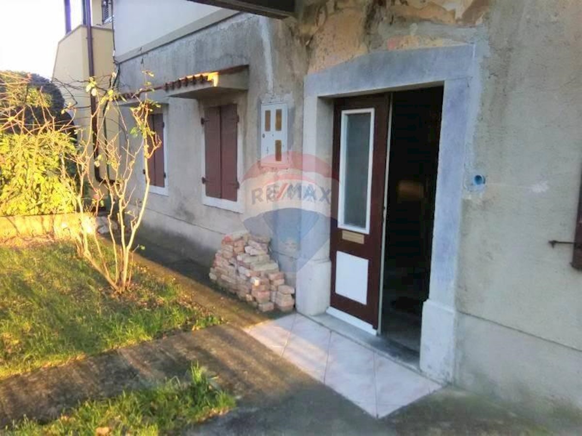 MIHOTIĆI