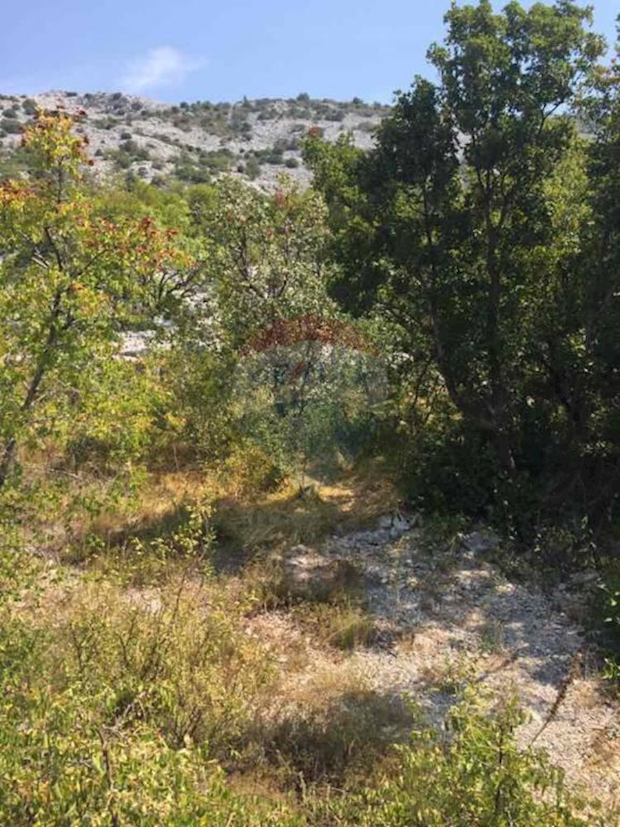 LUKOVO ŠUGARJE
