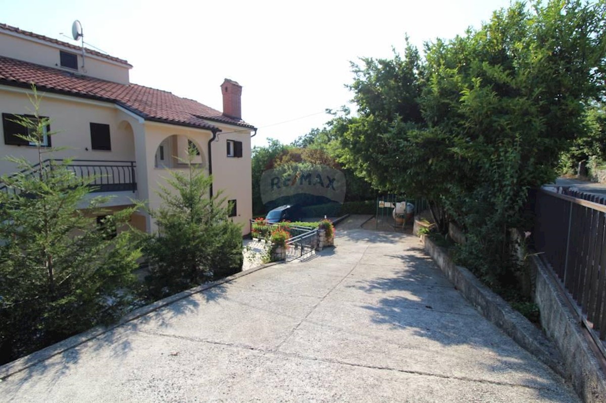 PLEŠIĆI