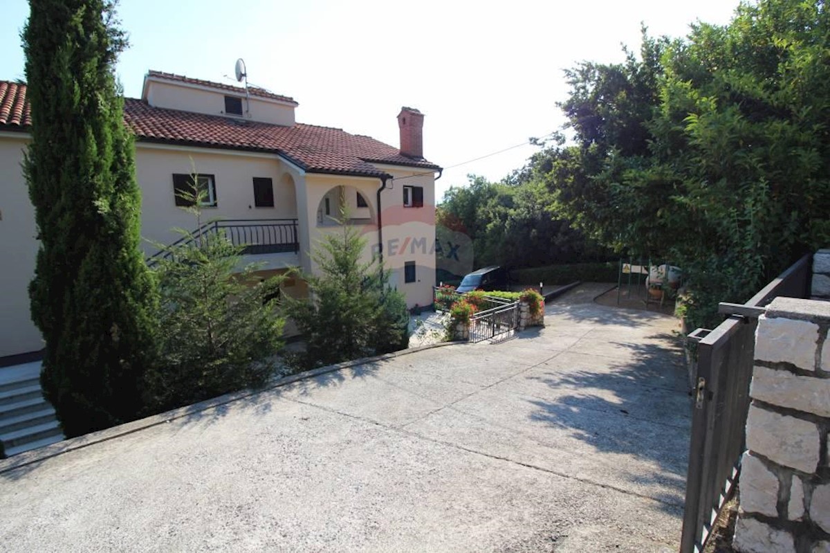PLEŠIĆI