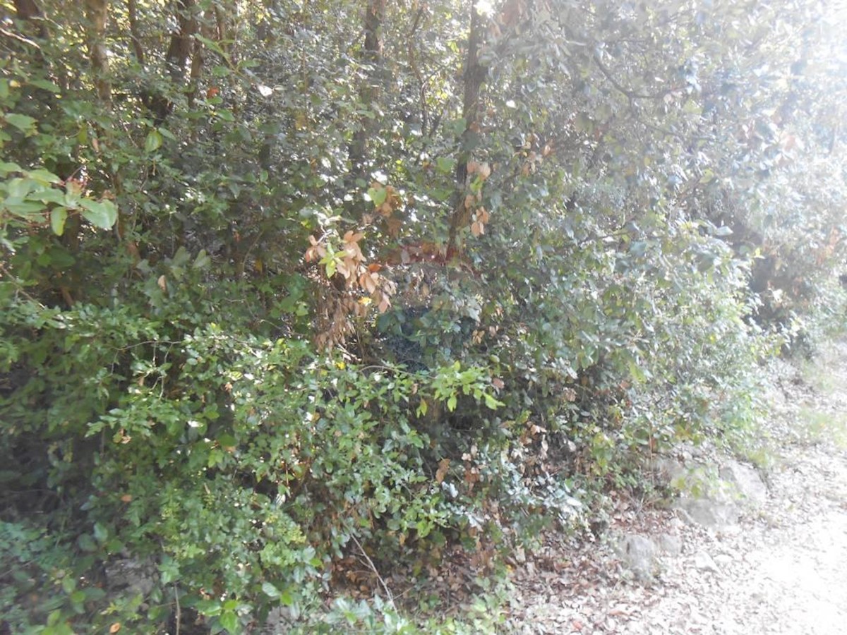 PERUŠKI