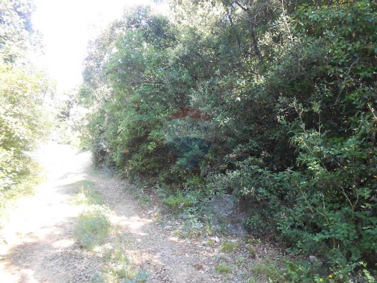 PERUŠKI