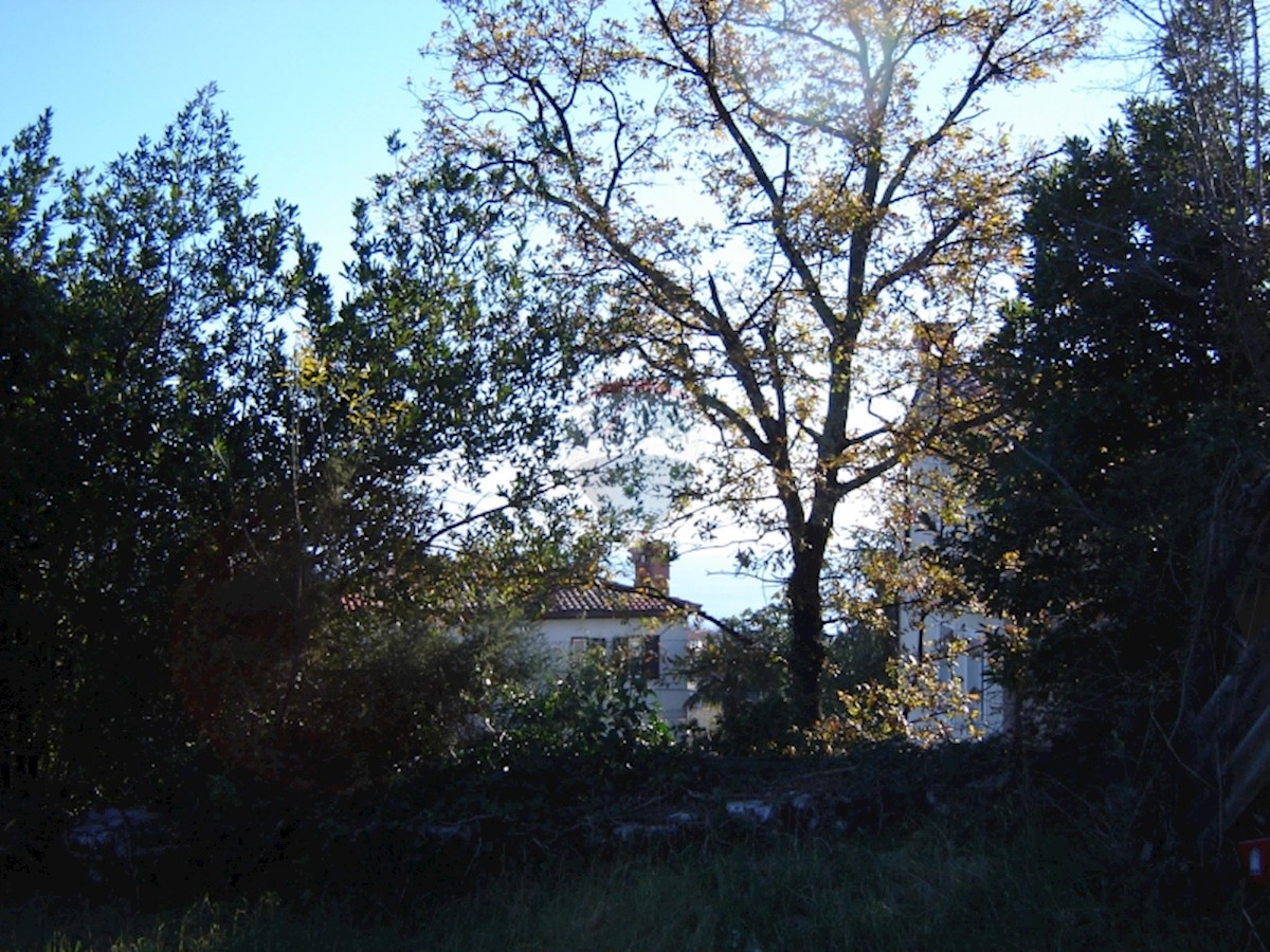 MIHOTIĆI