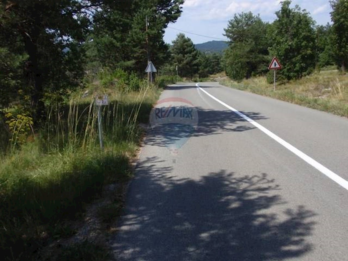 LIPA