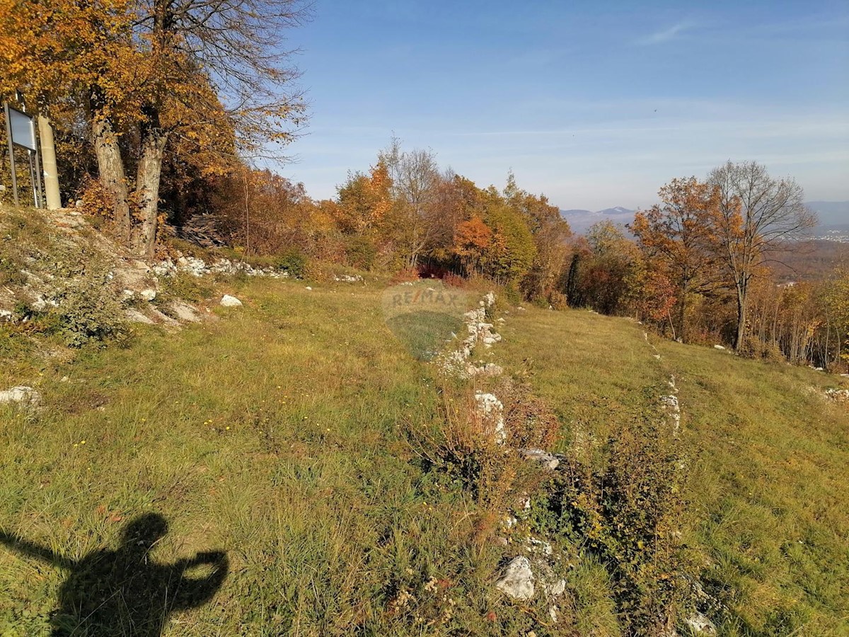 KUČELI