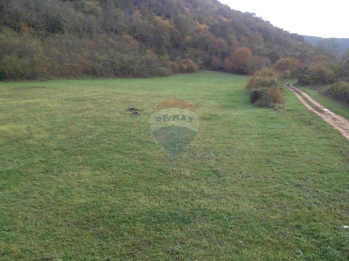 KANFANAR