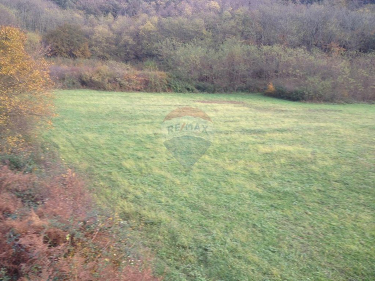 KANFANAR