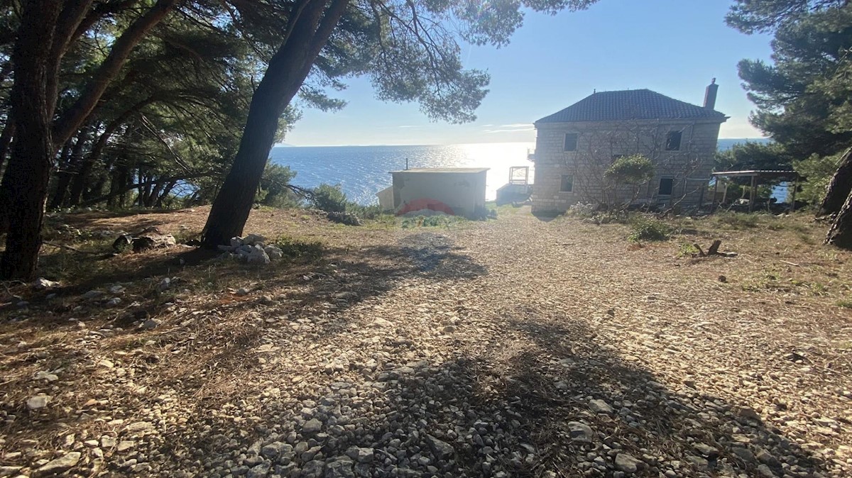 SKITAČA