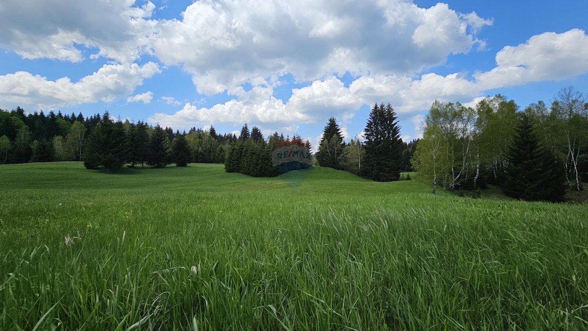 HLEVCI