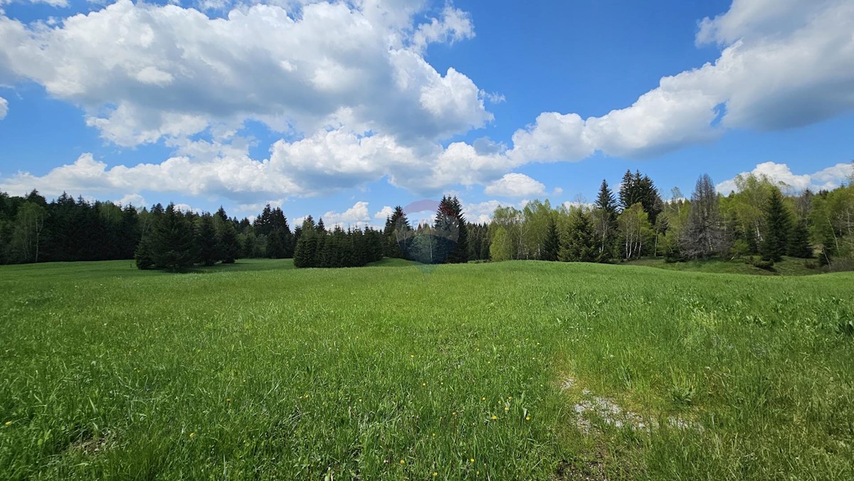 HLEVCI