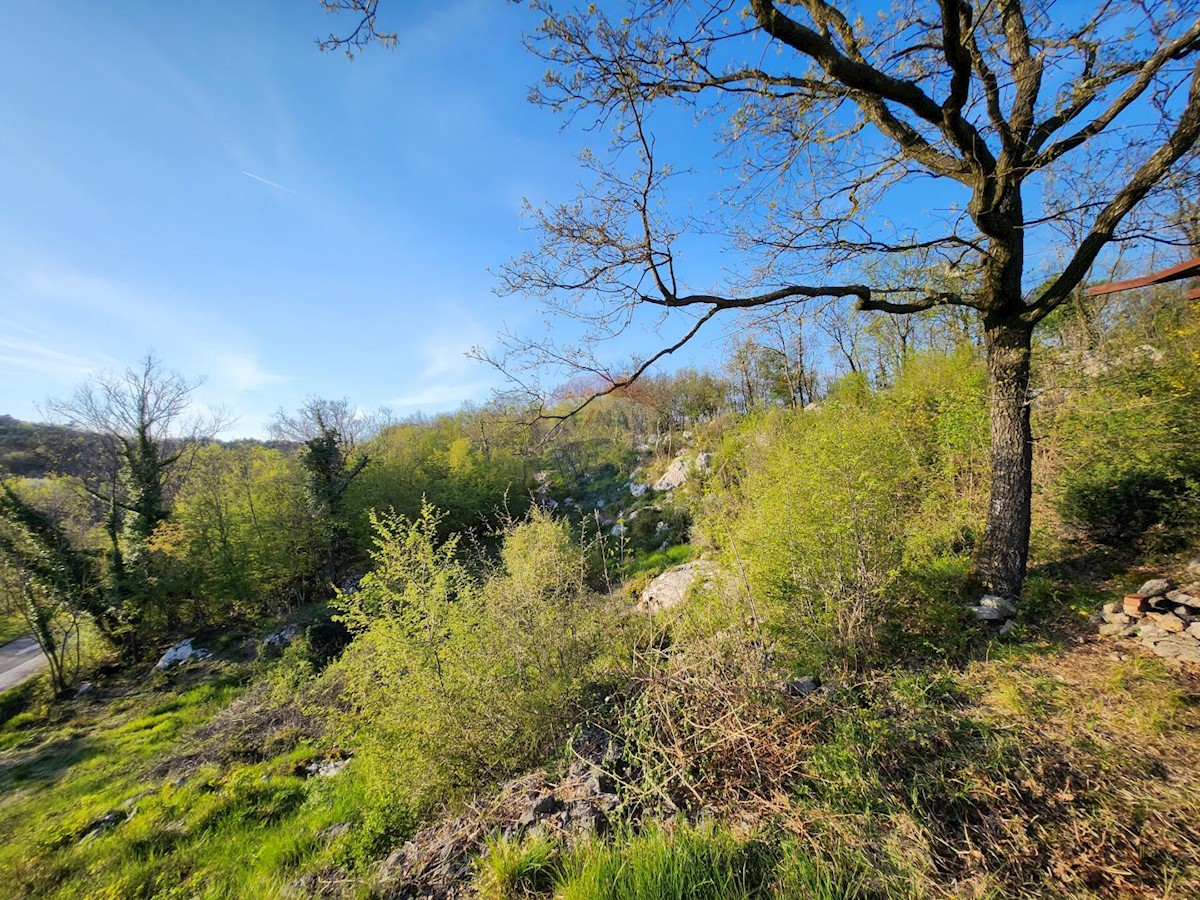 CERNIK