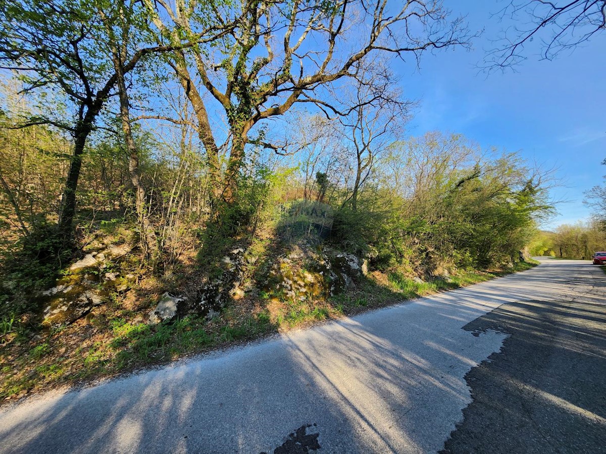 CERNIK