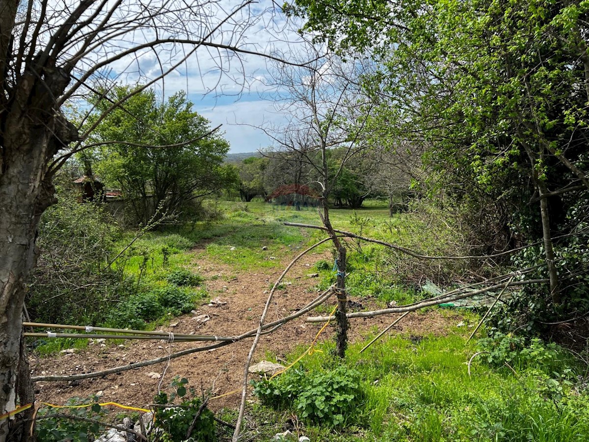 MANJADVORCI