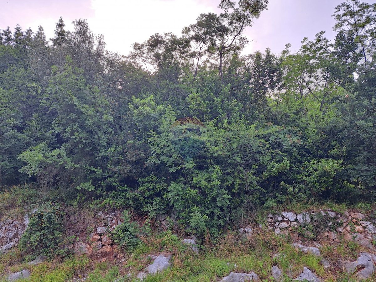 MOŠĆENICE