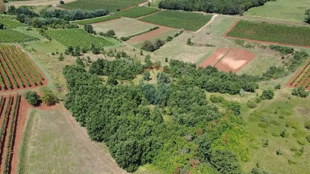 VIŽINADA