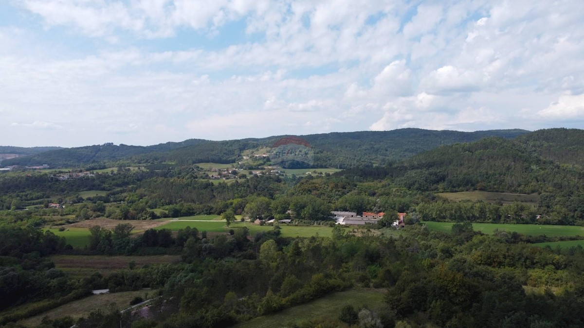 PAZIN