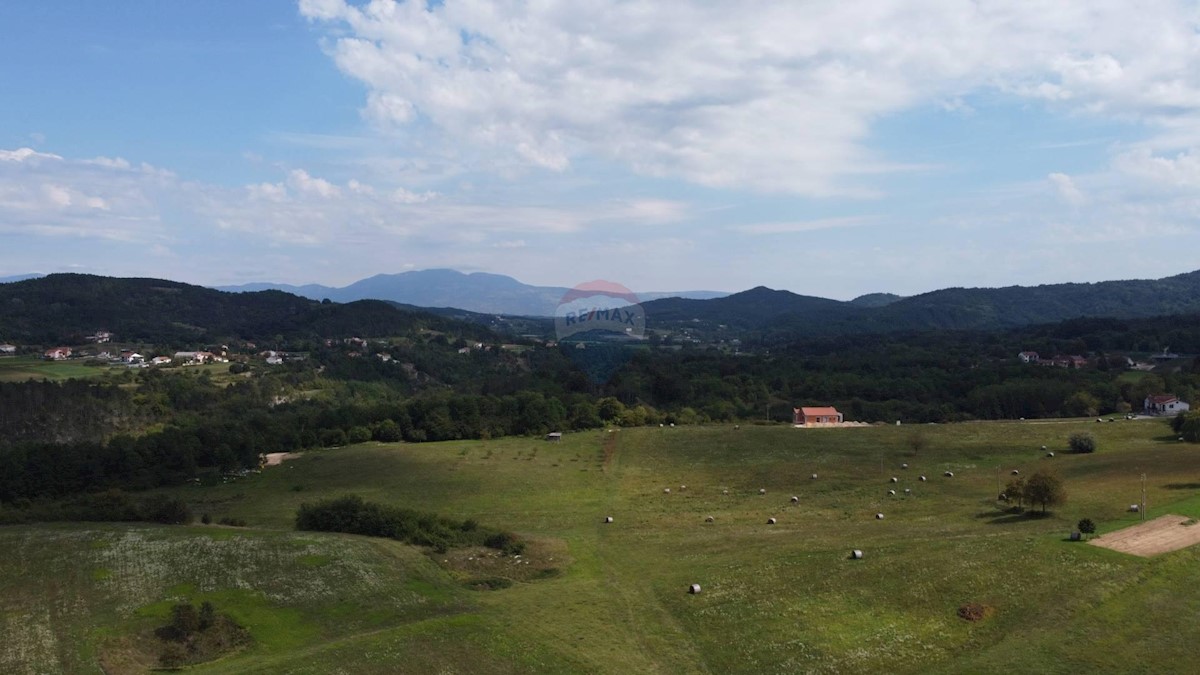 PAZIN