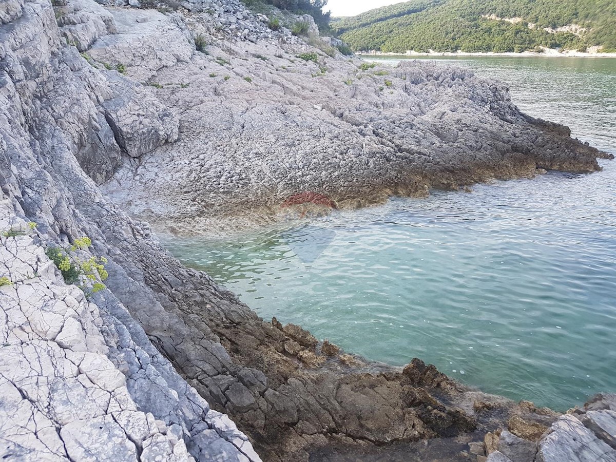 KRNICA