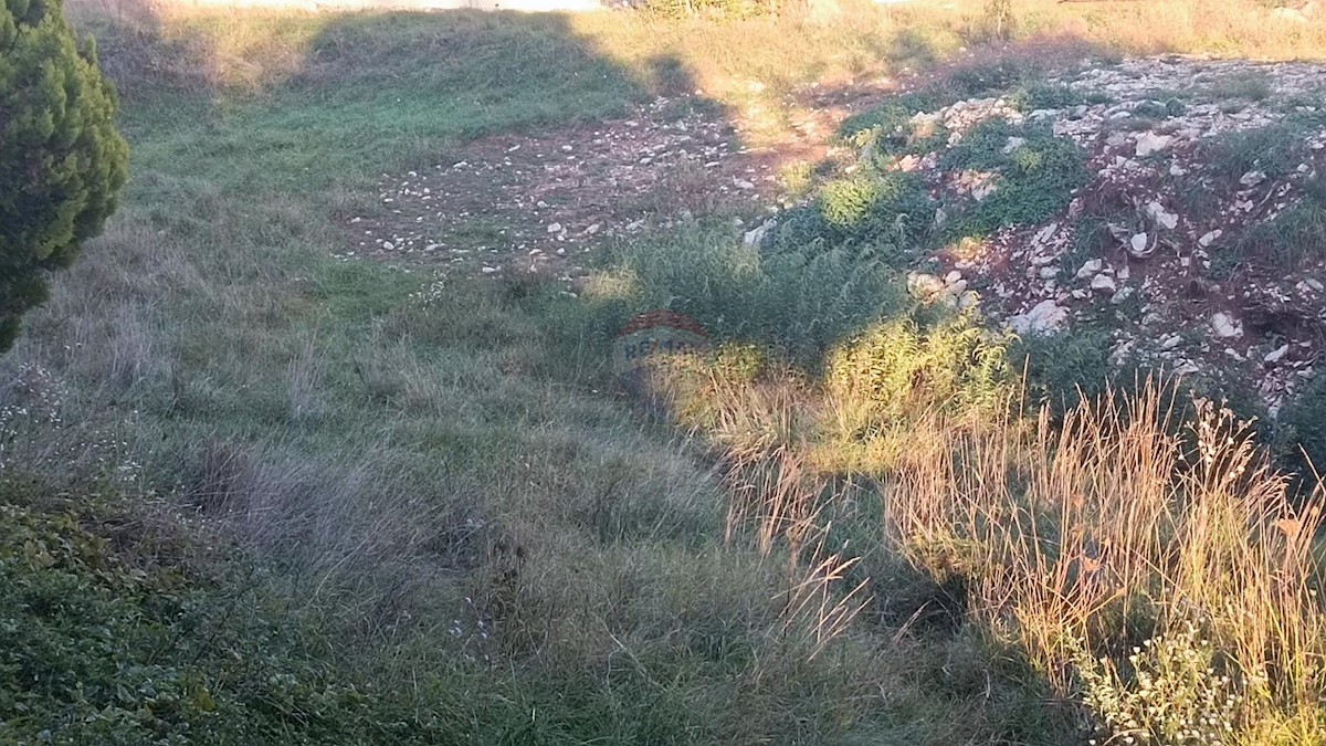 ČAVLE