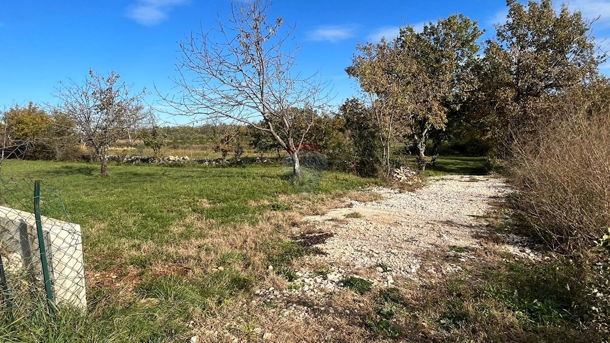 ČEPLJANI