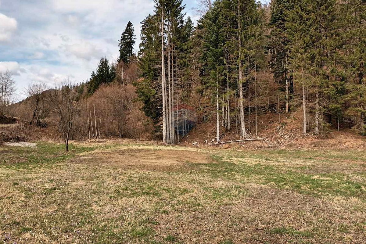 FUŽINE