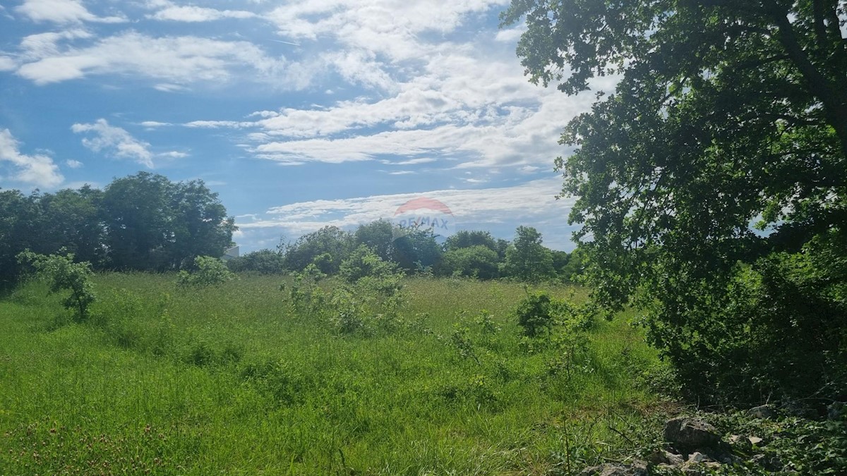 KRNICA