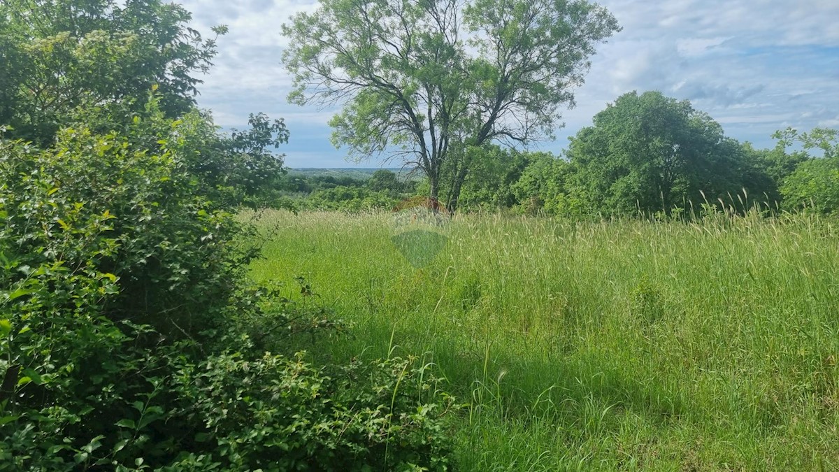 KRNICA