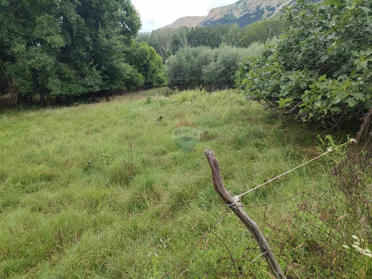 BAŠKA