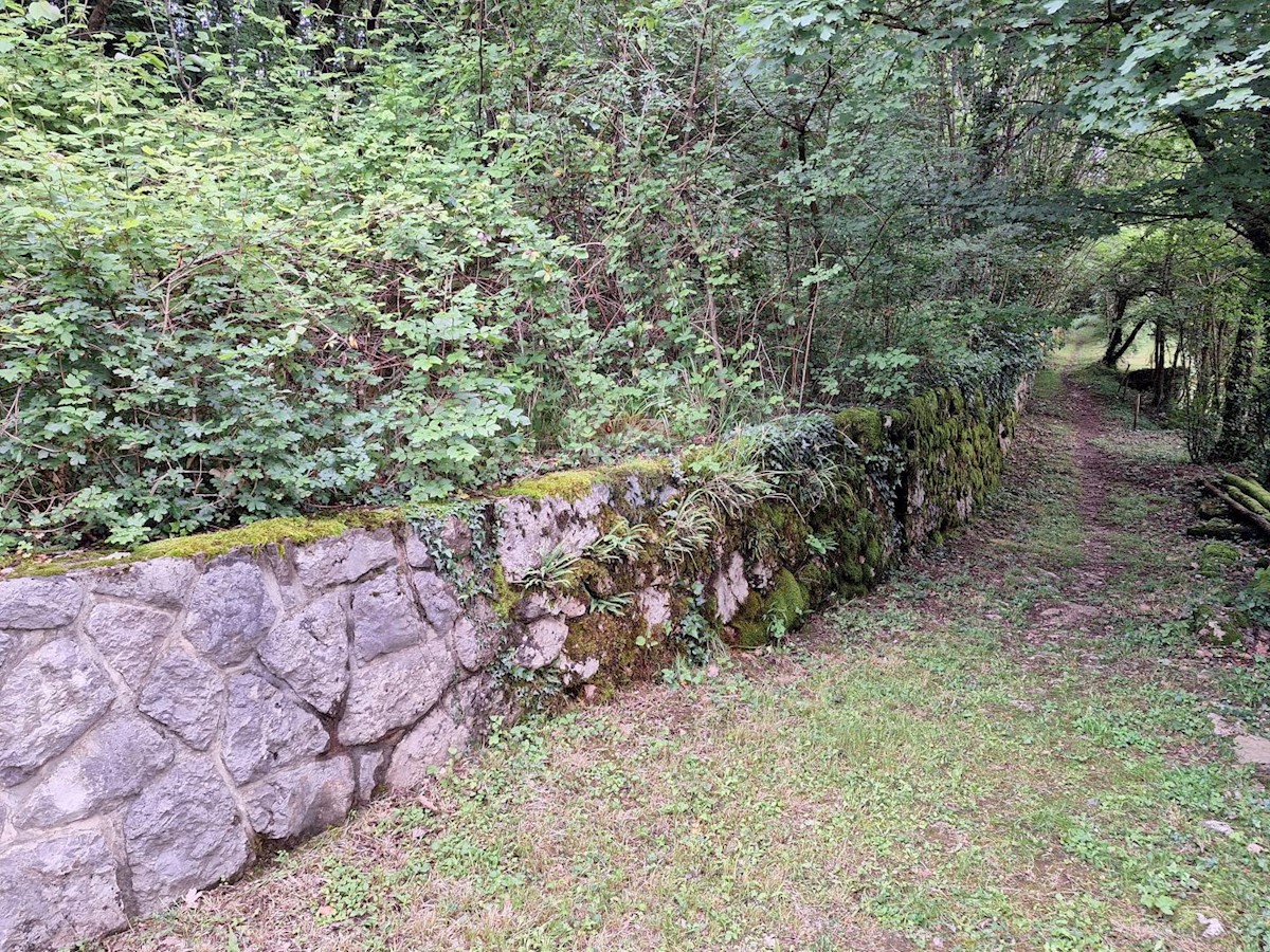 VEPRINAC