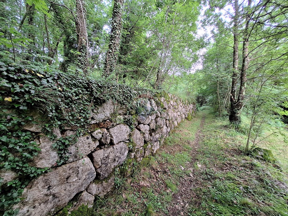 VEPRINAC