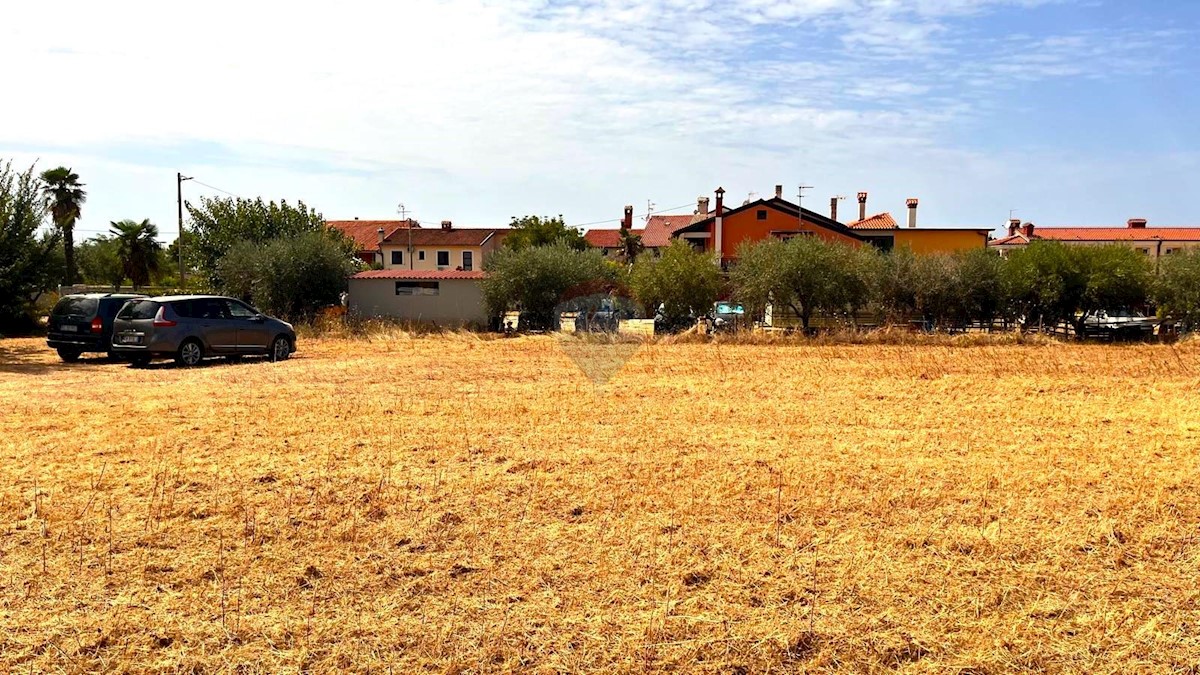 LOVREČICA