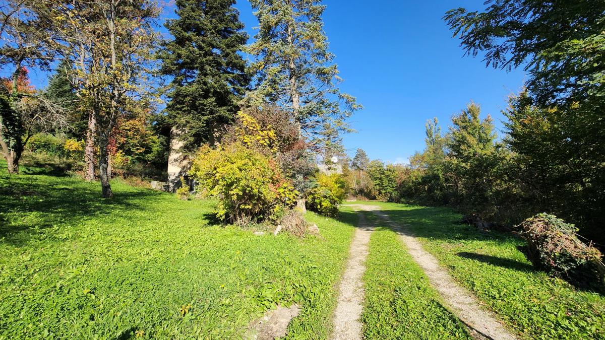 JELENOVAC