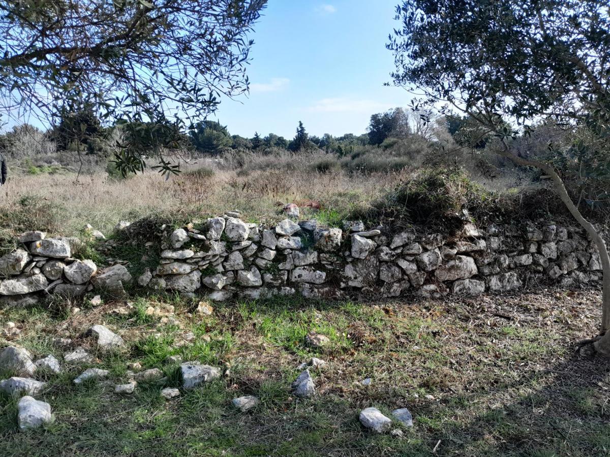 PREMANTURA