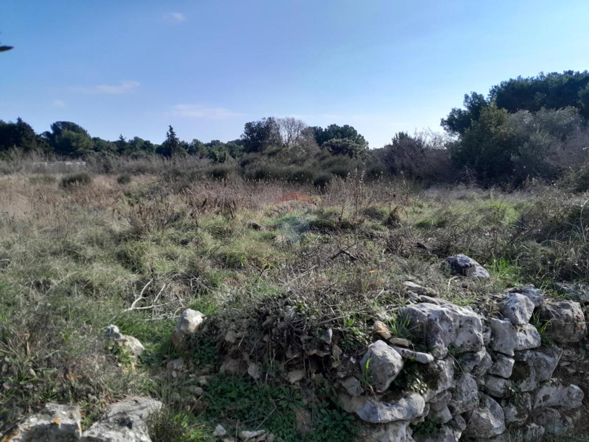 PREMANTURA
